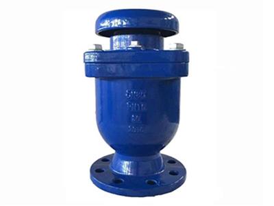 Combination Air Valve