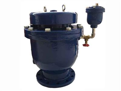 Combination Air Valve