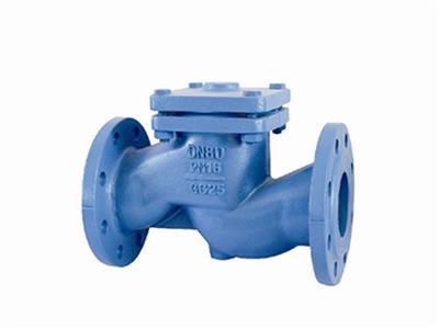 Din En12334 Flanged End Liftcheck Valve