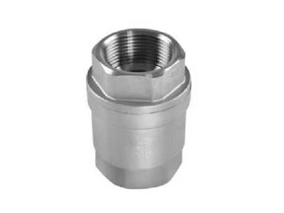 2-PC Vertical Springcheck Valve,1ooowog