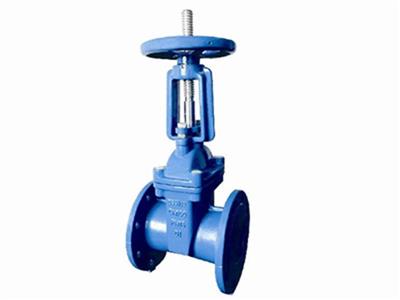EN1171 Rising Stem Resilient Seated Gate Valve