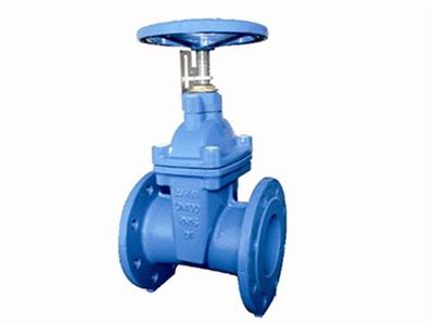 BS5163 Type A Non-Rising Stem Resilient Seated Gate Valve