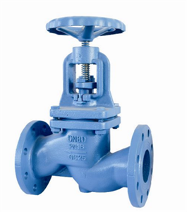 DIN3356 Flanged End Cast iron Globe valve